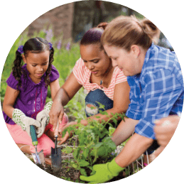 Three people planting plants